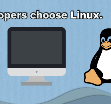 Why Developers Prefer Linux