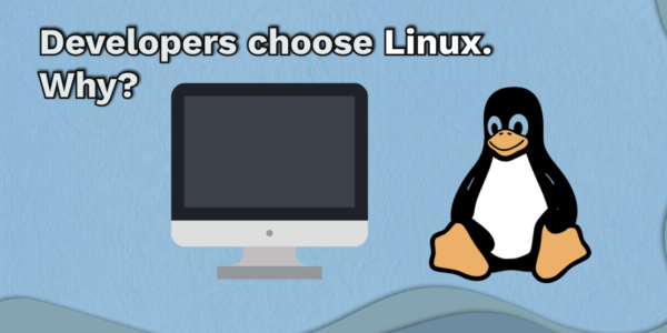 Why Developers Prefer Linux