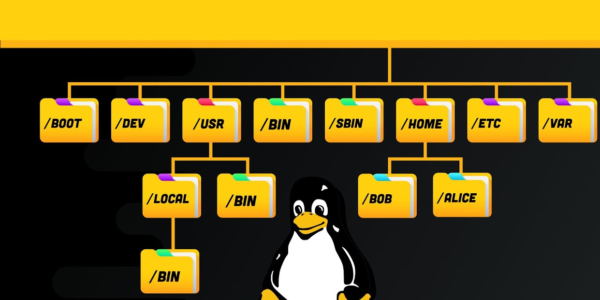 Linux File System Explained