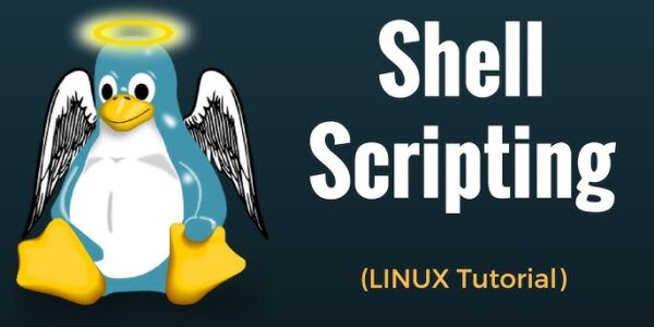 Linux Shell Scripting